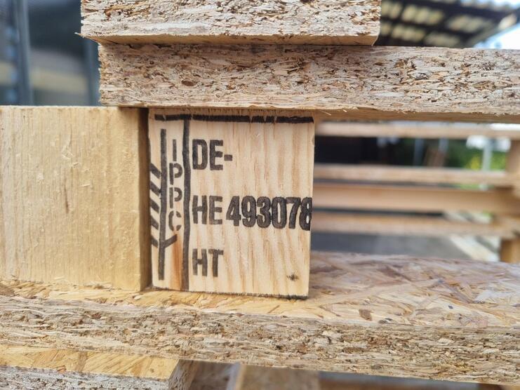 Detailaufnahme eines Holzst&uuml;cks mit IPPC-Kennzeichnung und Nummer DE-HE 493078 HT auf einer Holzpalette.
